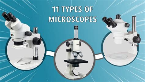 Five Common Types of Microscopes and Their Uses