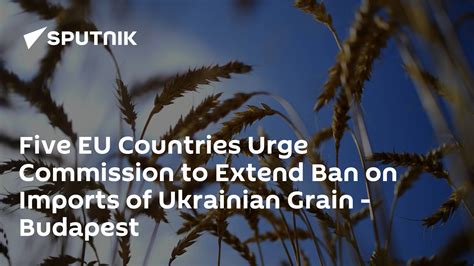 Five European countries will extend ban on Ukraine’s grain but let it head to other places
