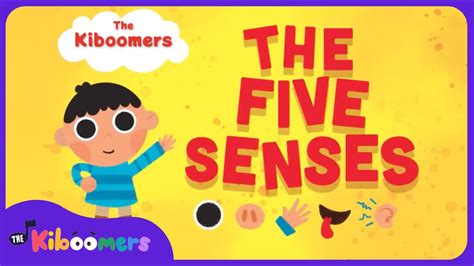 Five Senses Song - Song for Kids - The Kiboomers - 哔哩哔哩