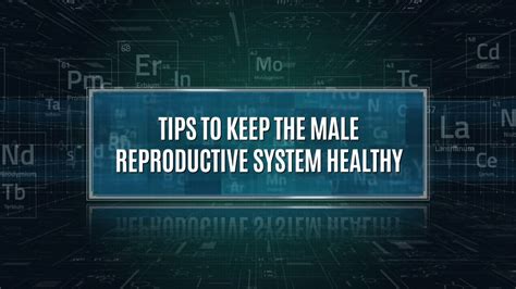 Five Tips To Keep The Male Reproductive System Healthy