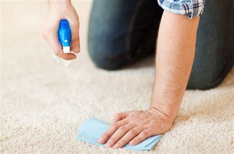 Five Ways To Remove Stains from Your Carpet Billy.com