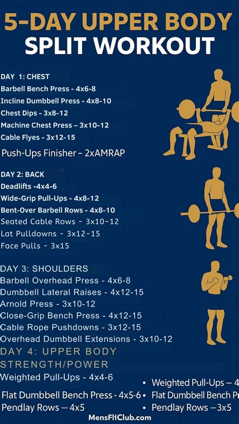 Five day dumbbell split.  It is an intermediate level plan to achieve cutting ...