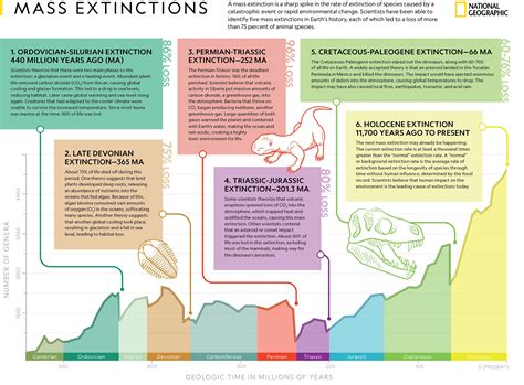 65.5. The Ordovician-Silurian extinction event is the first recorded mass extinction and the second largest. During this period, about 85 percent of marine species (few species lived outside the oceans) became extinct. The main hypothesis for its cause is a period of glaciation and then warming.. 