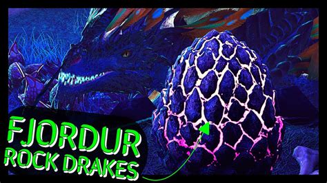 Fjordur rock drake. Some dinos only spawn inside the realms Jotunheim, Vanaheim or Valhalla which are placed underneath the map. Thats why the map says, that some dinos spawn in the ocean. v · d · e Fjordur. Navigation for the Fjordur map. 