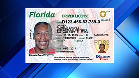 Florida Drivers License Generator. Enter the information below and