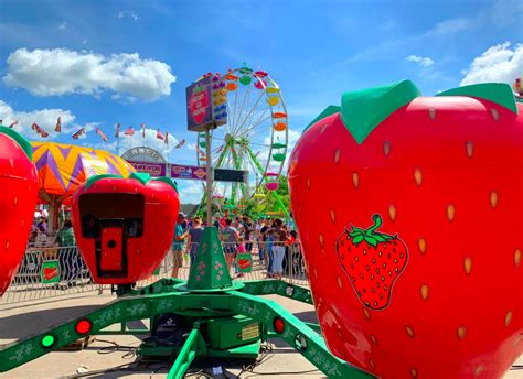Fl strawberry festival. Jan 25, 2024 · The 2024 Florida Strawberry Festival runs from Feb. 29 to March 10 in Plant City, featuring musical acts, rides, exhibits and strawberry treats. Find out the hours, prices, entertainment lineup and more in this guide. 