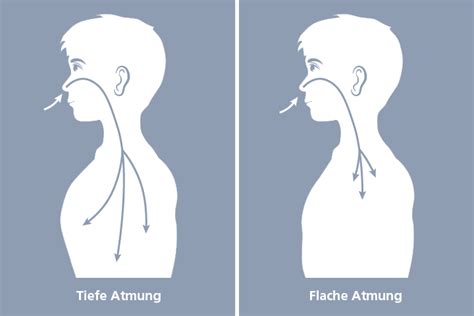 Flache Atmung I Ursachen & Folgen I Die effektivste Atemübung …