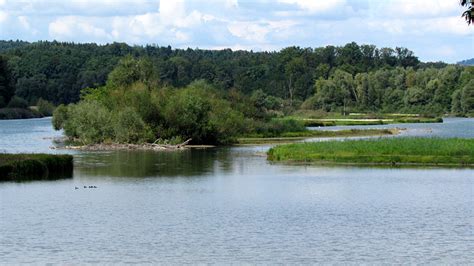 Flachsee - Wikipedia