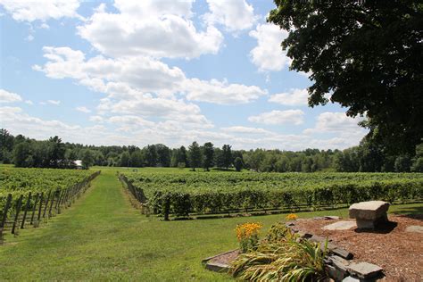 Flag hill winery. May-garitas - 5.19.24. Sun, May 19 • 1:00 PM. Check ticket price on event. Flag Hill Distillery & Winery is using Eventbrite to organize 5 upcoming events. Check out Flag Hill Distillery & Winery's events, learn more, or contact this organizer. 