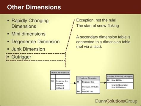 Flags and Indicators as Textual Dimension Attributes