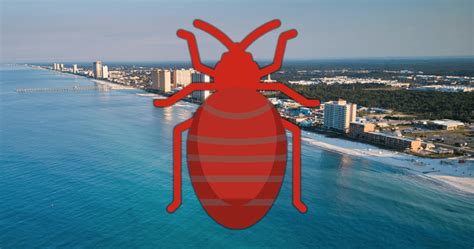 Aug 15, 2017 · Boardwalk Resorts - Flagship: BED BUGS - See 1,124 traveler reviews, 687 candid photos, and great deals for Boardwalk Resorts - Flagship at Tripadvisor. . 