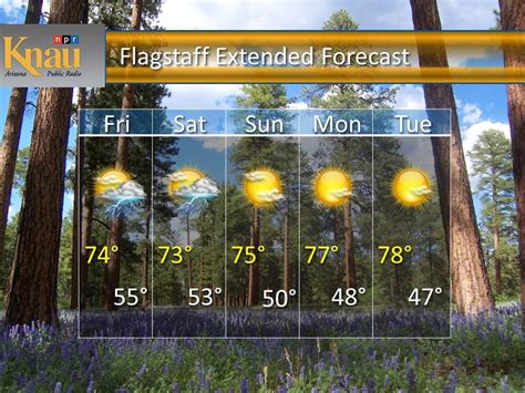 Flagstaff, Arizona Hourly Weather Forecast - The Weather Network