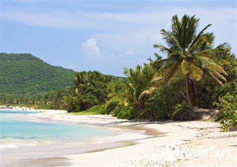 Flamenco Beach (Playa Flamenco) Tours and Tickets - YonderTours