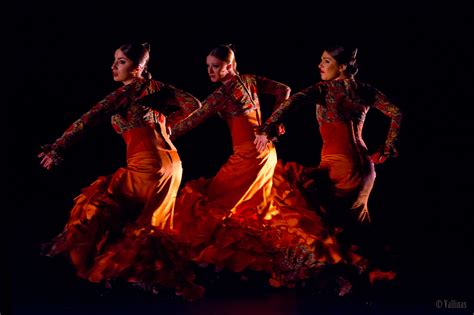 Nov 1, 2019 · El flamenco es un arte que expresa sent
