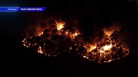 Flames engulf nature preserve in Coconut Creek