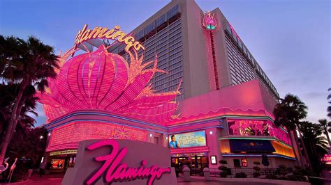 Flamingo casino and resort las vegas.