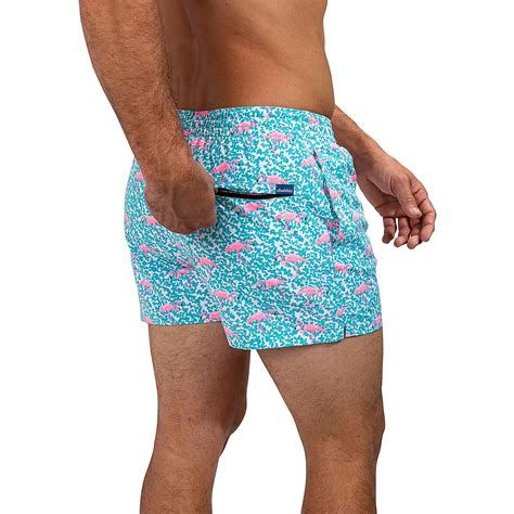 Flamingo chubbies. Things To Know About Flamingo chubbies. 