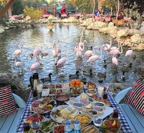 Flamingo köy
