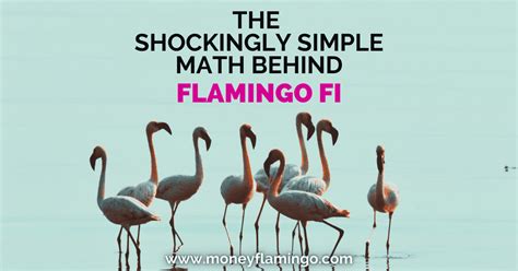 Flamingo Math 2.0. 177 likes · 61 talking about this. 