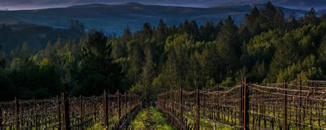 Flanagan Wines - Reservations - Healdsburg, CA Tock