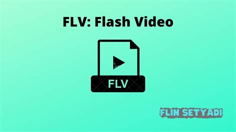 Flash flv