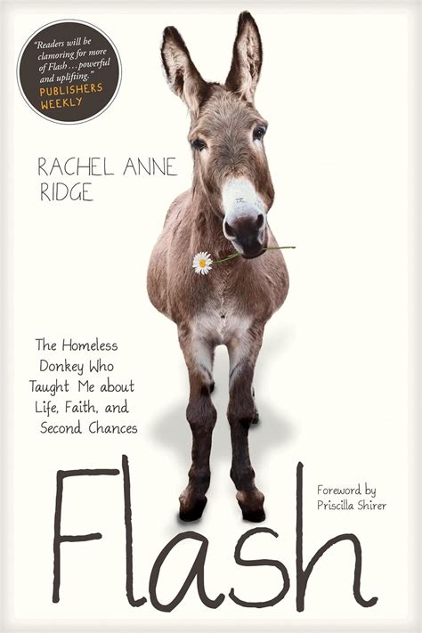 Download Flash The Homeless Donkey Who Taught Me About Life Faith And Second Chances By Rachel Anne Ridge