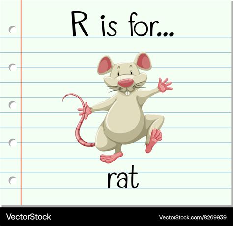 Flashcard letter R is for rat vector image on VectorStock in 2020