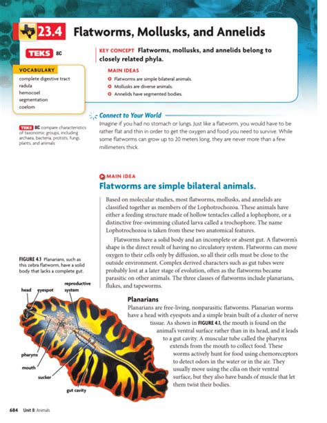 Flatworms mollusks and annelids study guide. - Answer key for the student activities manual for chez nous branch201 sur le monde by albert valdman 2009 03 14.
