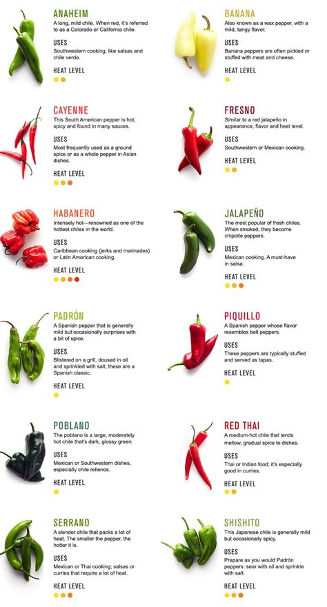 Flavours of Chili