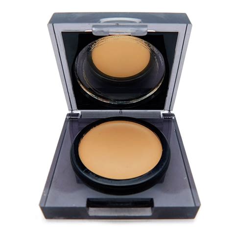 Flawless Finish Maximum Coverage Concealer - # 02 Light by Elizabeth …