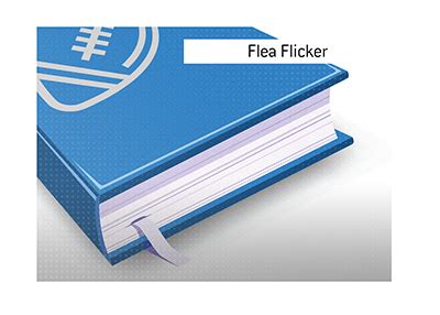 Flea Flicker Definition - What Does Flea Flicker Mean?