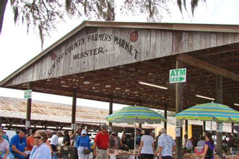 Flea market sumter county webster fl. September 25, 2022 ·. Webster will be open tomorrow! Webster Flea Market every Monday! Sumter County Flea and Farmers Market (Webster) Shed B Spaces 62-64. 524 N Market Blvd (State Road 471) Webster, FL 33597. +2. 