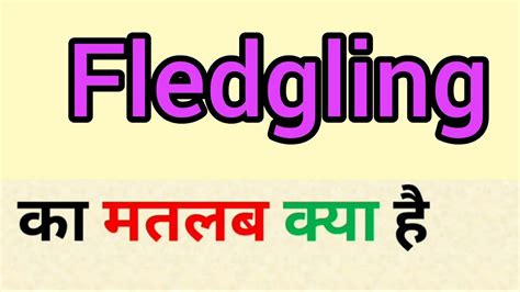 Fledgling Meaning In Hindi - Fledgling Definition English …