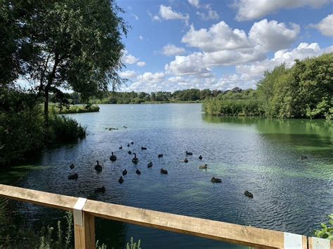 Fleet Pond - Blackwater Valley Nature Walks