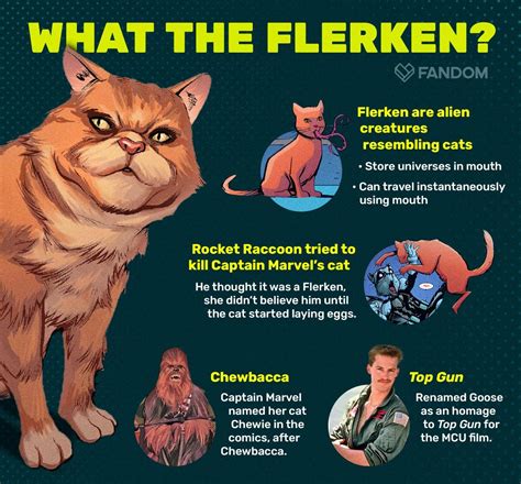 Flerken cat. The Flerken are alien creatures resembling cats. Captain Marvel's pet cat Chewie was a Flerken, but she was unaware of that fact. She came to learn this years after having Chewie, in a space adventure during which Chewie laid eggs. 