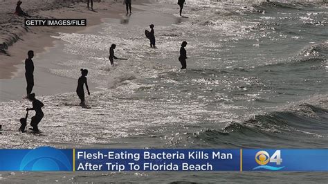 Aug. 21, 2023 -- Flesh-eating bacteria have killed eight people along the Eastern Seaboard, prompting health officials to urge people to take precautions around warm sea water or when cooking or .... 