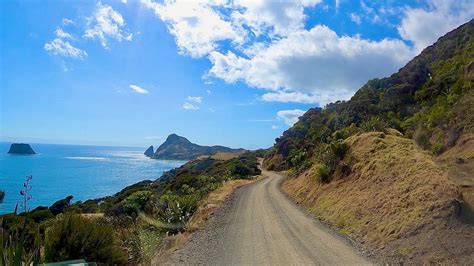 Fletcher bay to stony beach. - Review of Hike & Bike Coromandel ...