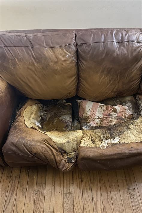 Lacey’s body was discovered ‘melted’ into a crater in a couch from w