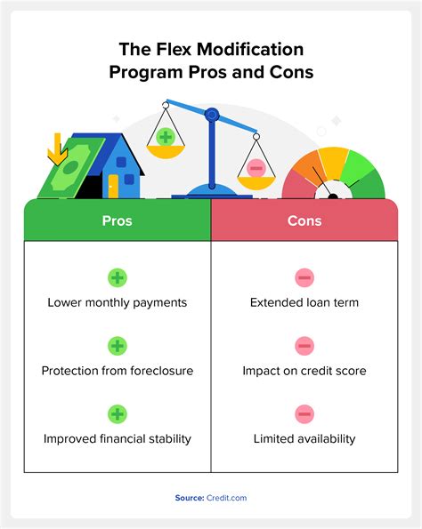 Flex Modification Program A Guide 