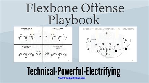Air Force has the most versatile Option-Run Playbook. It has a good mix of formations, and about even passing and running plays. Georgia Tech is everything Flexbone, but only things Flexbone. Oregon has the spread option covered. Stanford is a prostyle offense with a little more emphasis on big formations and power running.