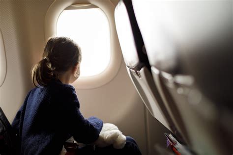 Fliegen mit Tieren Service Rund um den Flug - TUI