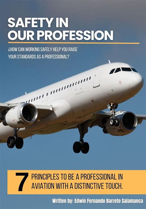 Flight Safety Principles for Professional Aviation