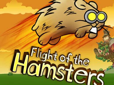  Flight of the Hamsters Description. Powering the Kids Next Door Treehouse is hard work. Help the hamsters to enjoy their time off with the new extreme sport of hamster launching. Launch your hamster into the air, grabbing items to stay in the air for as long as possible. . 