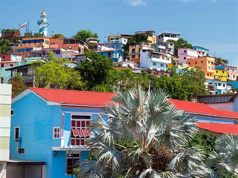 Cheap Flights from Miami to Guayaquil (MIA-GYE) Prices were 