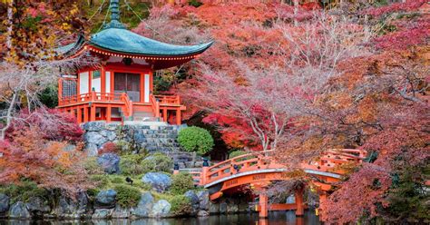 Flights to kyoto japan. Things To Know About Flights to kyoto japan. 