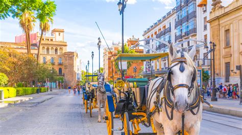  Find Cheap Flights to Seville. Call us 24/7