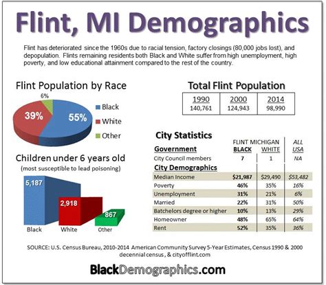 Flint, MI Demographics and Population Statistics - NeighborhoodScout