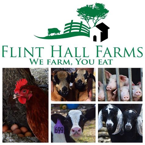 Flint Hall Farms - Facebook