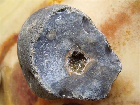 Flint geode. Quartz crystals form a flint geode and a handful of thunderstones. Museums, Moler Slopes and Moler Pit on Fur Moler (deposits, also known as mo-clay), on ... 