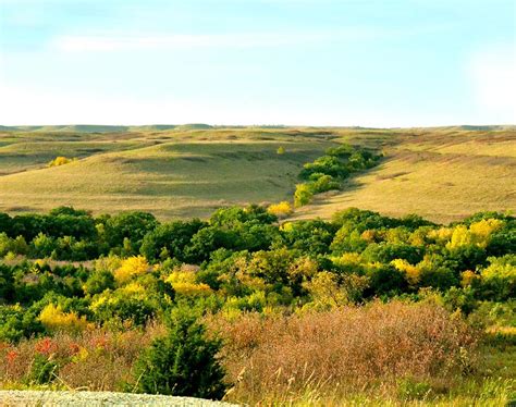 Courtesy of Kansas Geological Survey. Tallgrass Prairie National Preserve is located in the heart of the Flint Hills region of Kansas. This physically geographic region extends from the Nebraska state line southward into northern Oklahoma and is from 30 to 100 miles wide.. 